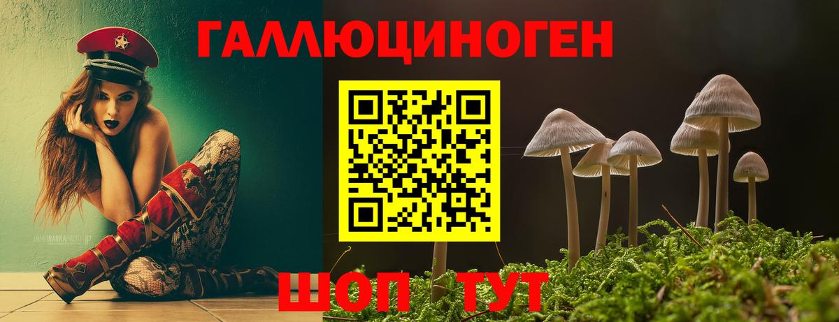 Галлюциногенные грибы мицелий  Псилоцибиновые грибы MAGIC MUSHROOMS  Вход с VPN  Курчалой 